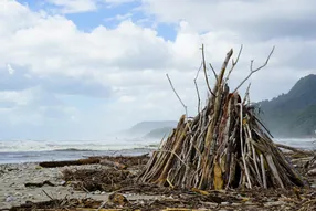 Climate change adaptation and investment decision making